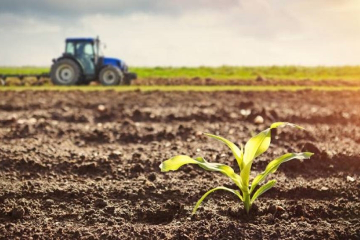 Phân loại đất đai theo Luật Đất đai mới nhất thế nào?